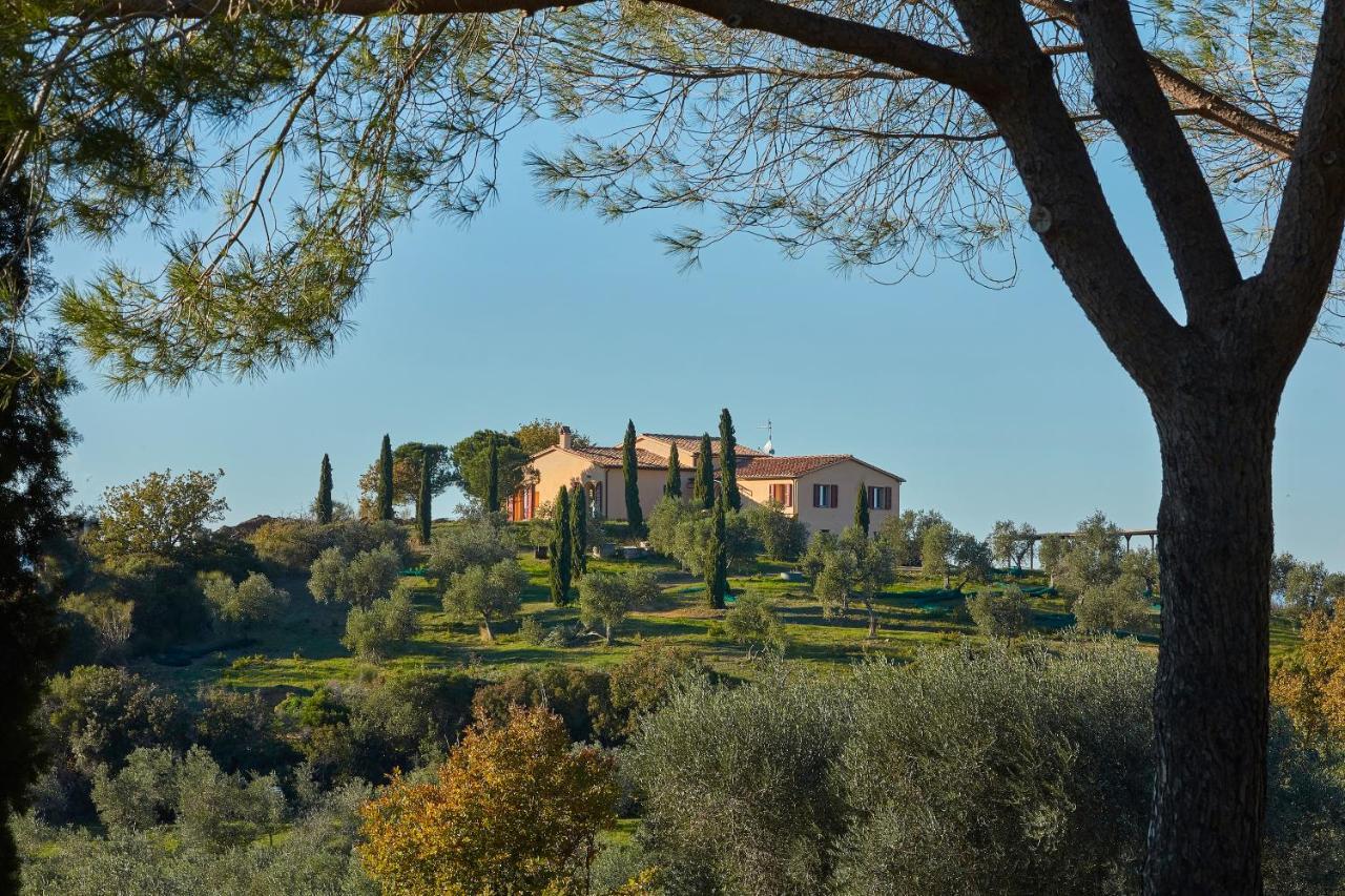 Poggio Tamantino, Villa Con Piscina In Maremma Poggio Cavallo Eksteriør bilde