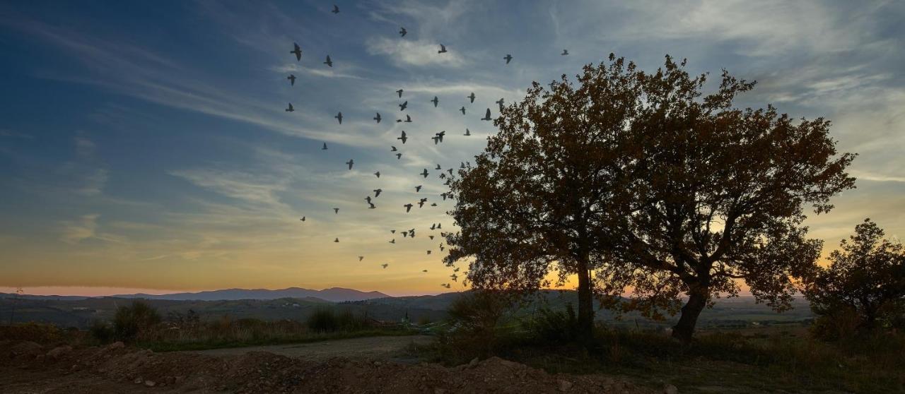 Poggio Tamantino, Villa Con Piscina In Maremma Poggio Cavallo Eksteriør bilde